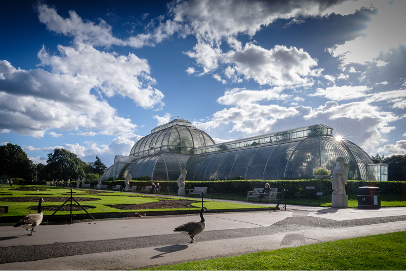 Cleaning in Kew